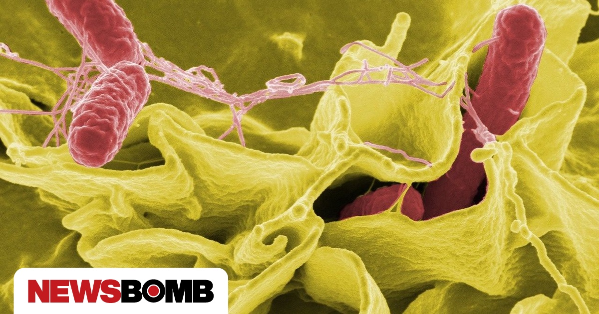 Ζήτημα δημόσιας υγείας η μικροβιακή αντοχή σε βακτήρια που μεταδίδονται μέσω τροφίμων