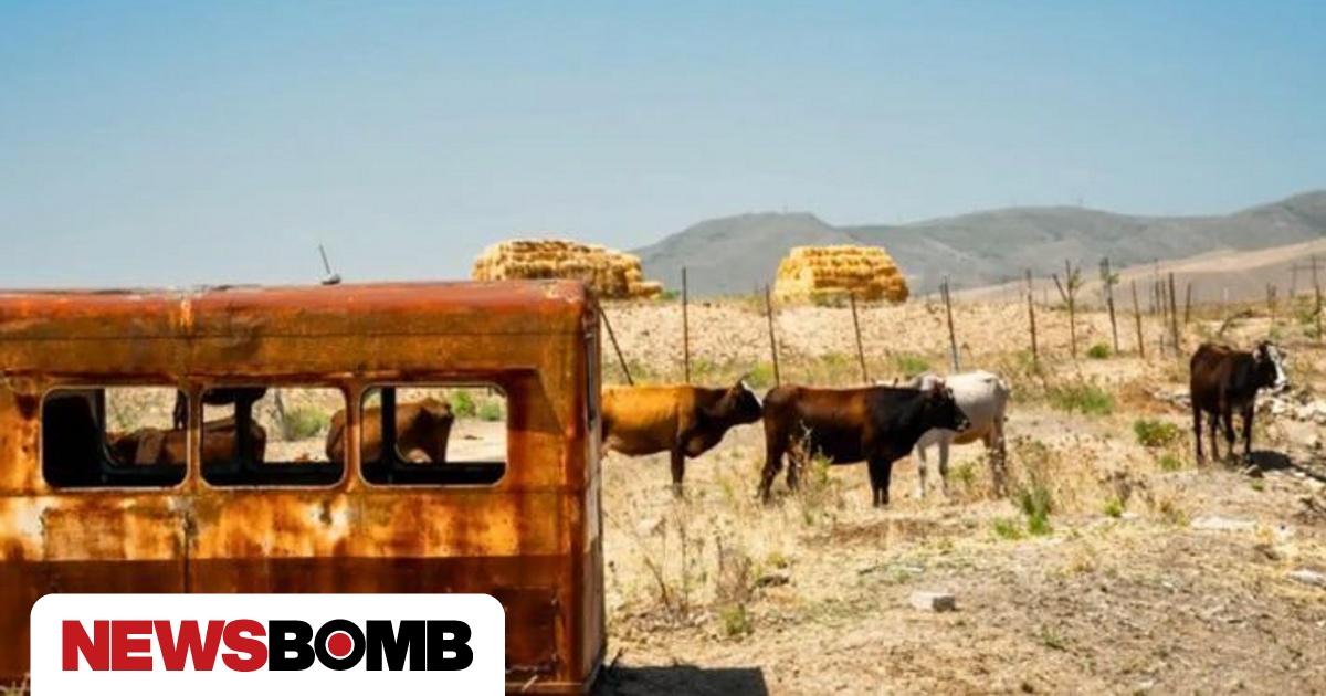 cluster (priority): newsbomb.gr Pourquoi cette étude bouleverse-t-elle la science?