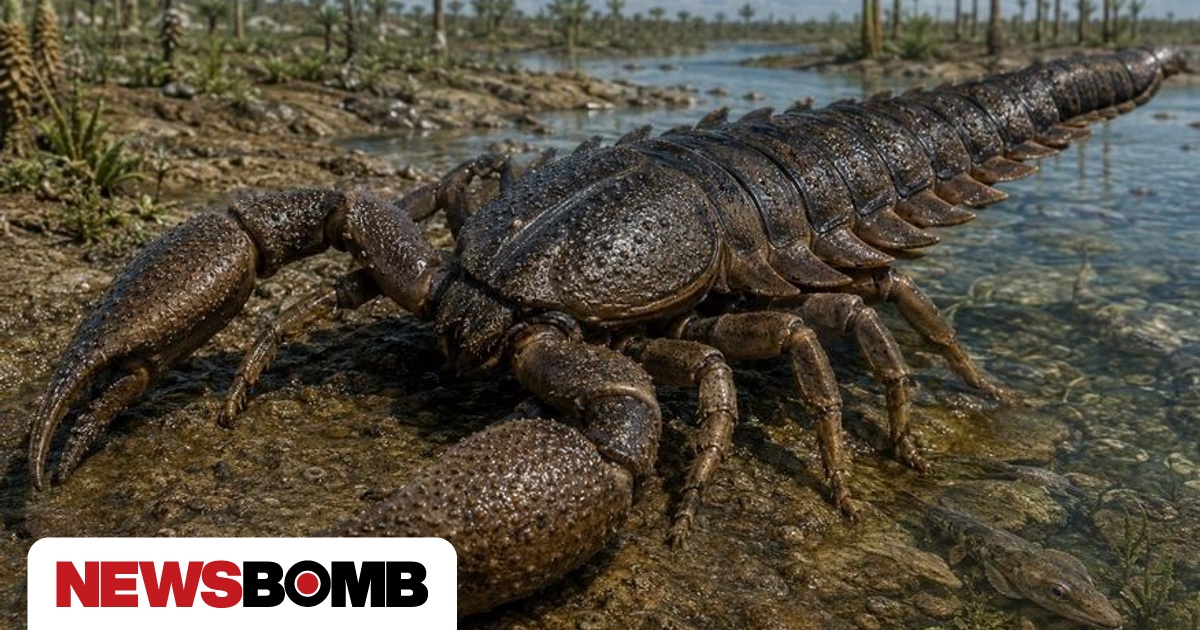Praearcturus gigas: Ο μεγαλύτερος σκορπιός του πλανήτη κρυβόταν σε συρτάρι μουσείου για 150 χρόνια