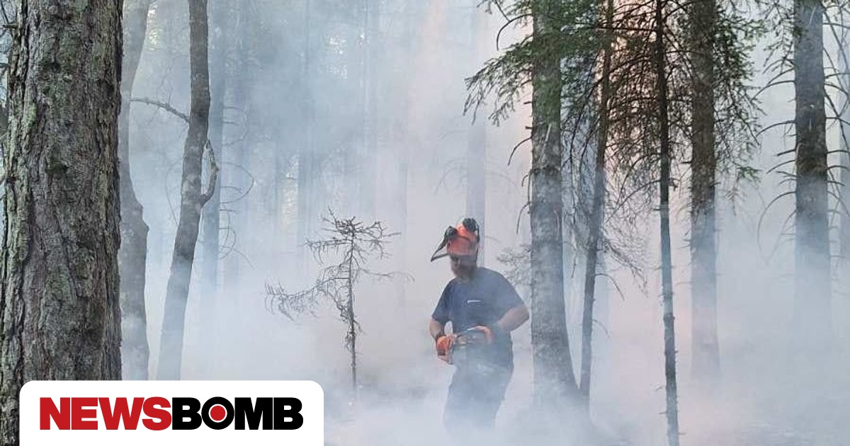 Φωτιές: Βελτιωμένη η κατάσταση σε Κόνιτσα και Δράμα – Καλύτερη η εικόνα και στα υπόλοιπα μέτωπα
