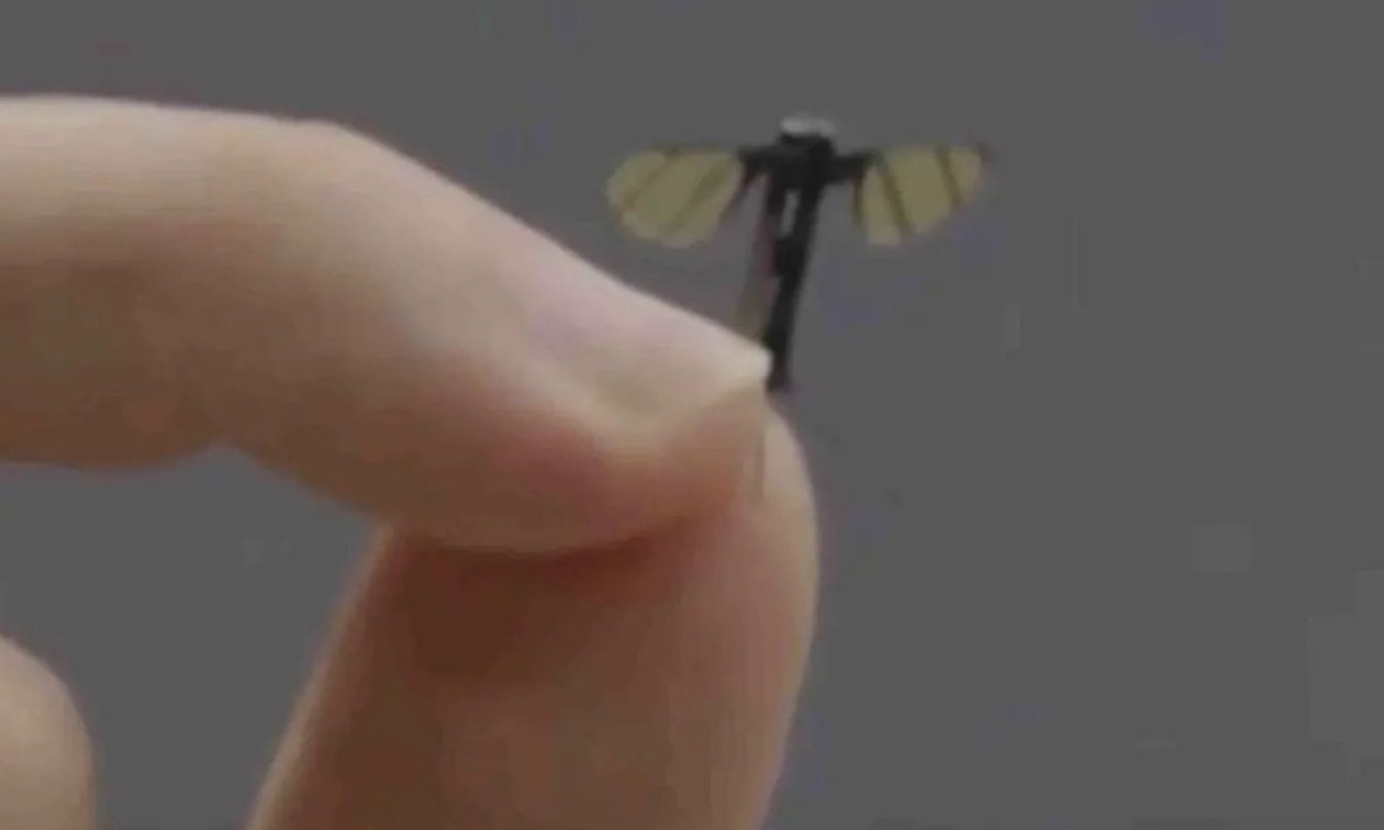 Κίνα: Λανσάρει κατασκοπευτικά drones που μοιάζουν με... κουνούπι
