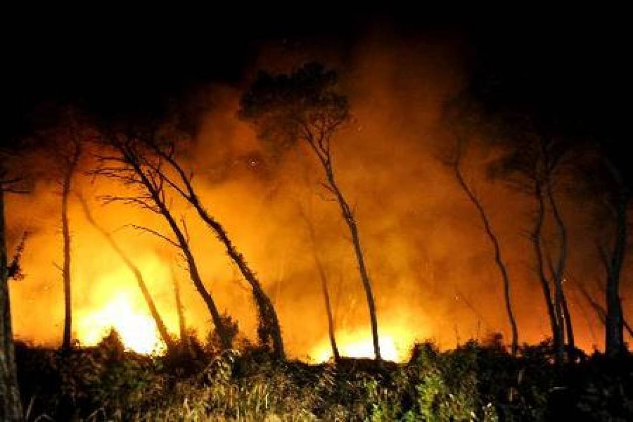 Υπό έλεγχο η πυρκαγιά στον Έβρο