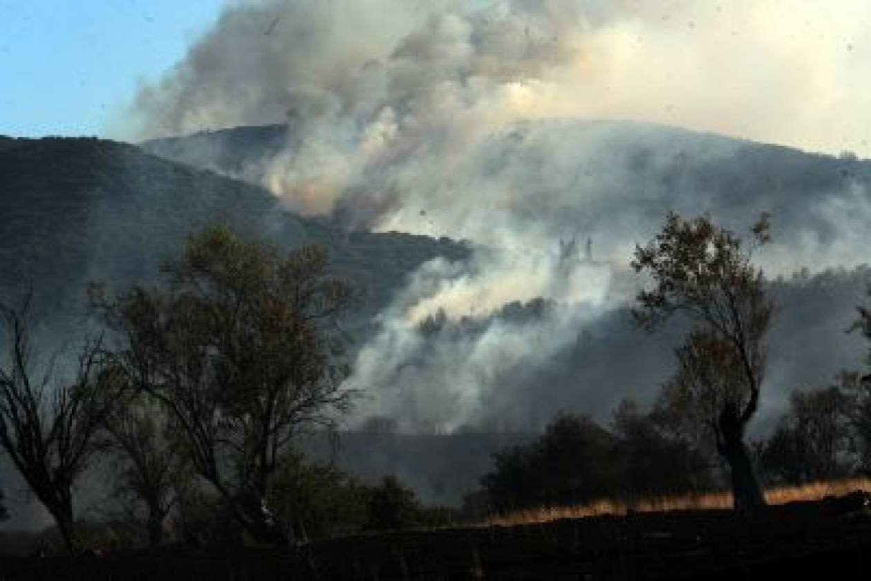 Φωτιά στην Επισκοπή Ηρακλείου