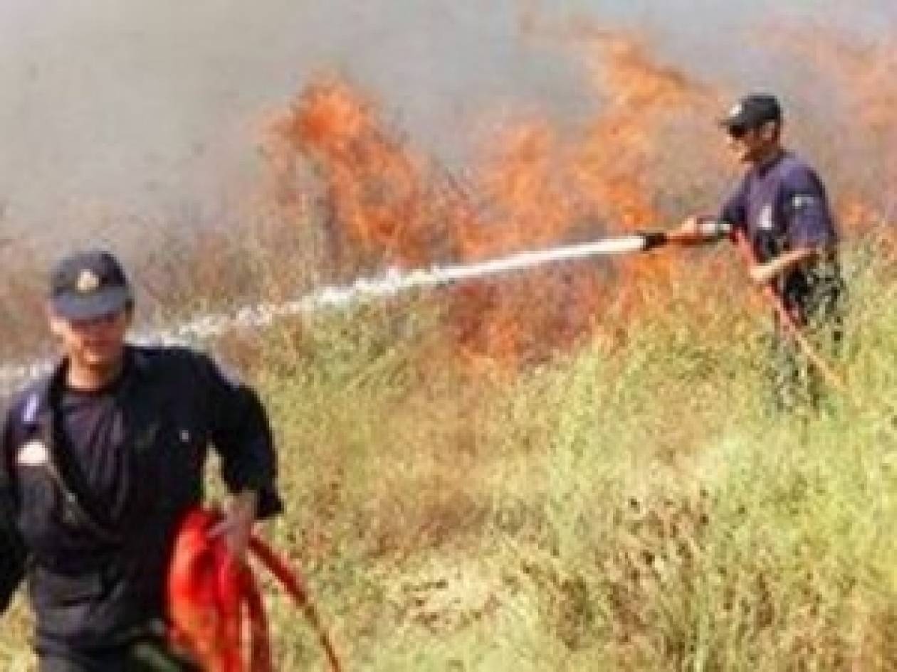 Υπό έλεγχο η φωτιά στην Αγία Πελαγία