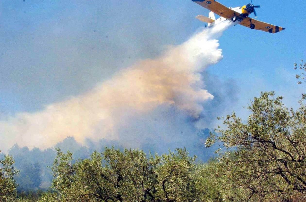 Συνελήφθη ο εμπρηστής του Καλάμου