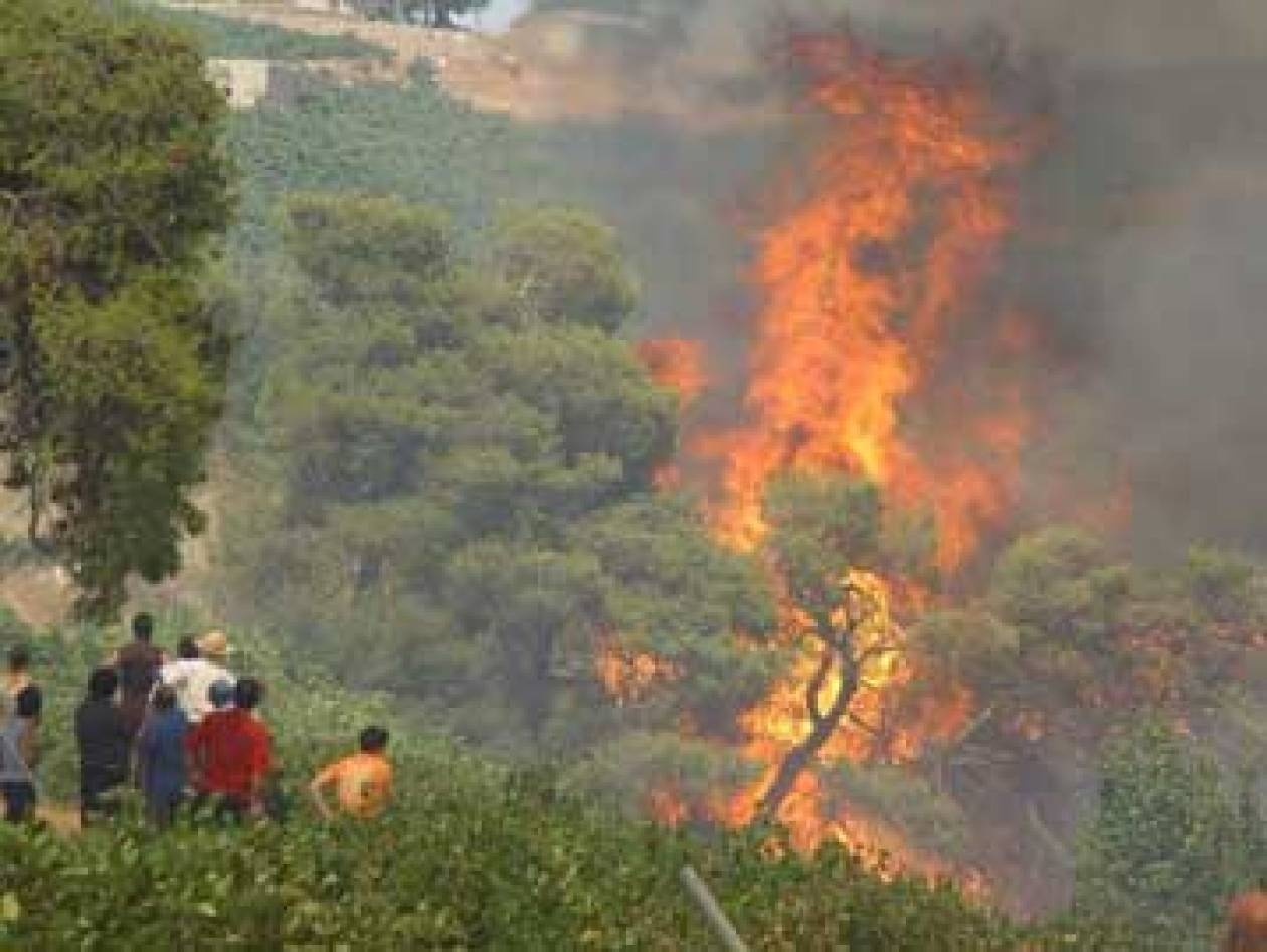 Τρία πύρινα μέτωπα στην Λακωνία