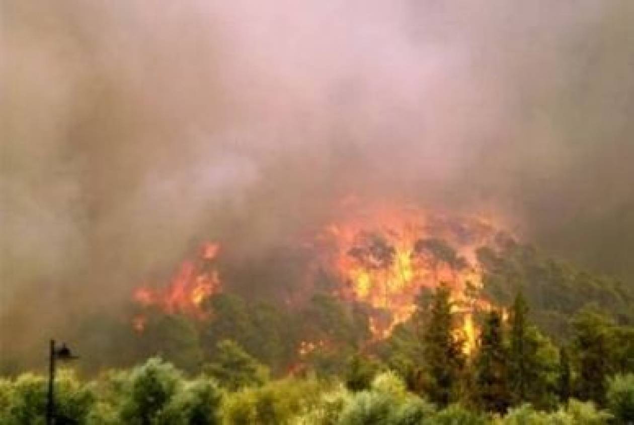 Υπό μερικό έλεγχο η φωτιά στο Σχοινιά