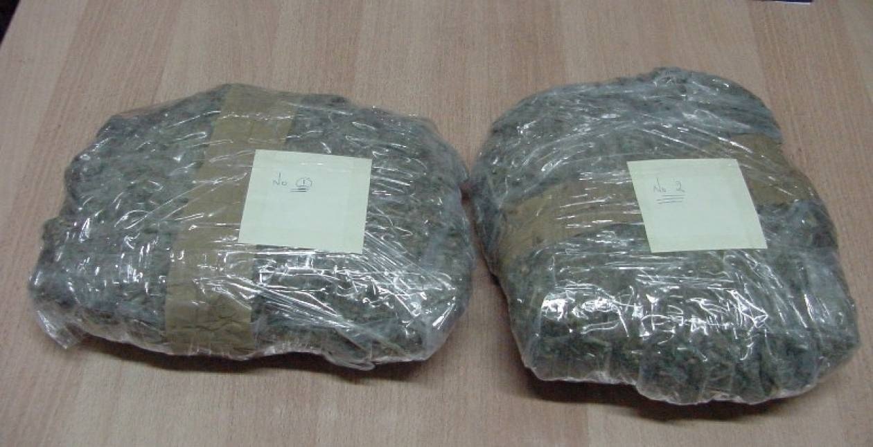 Δουλειές με… φούντες στη Χαλκιδική