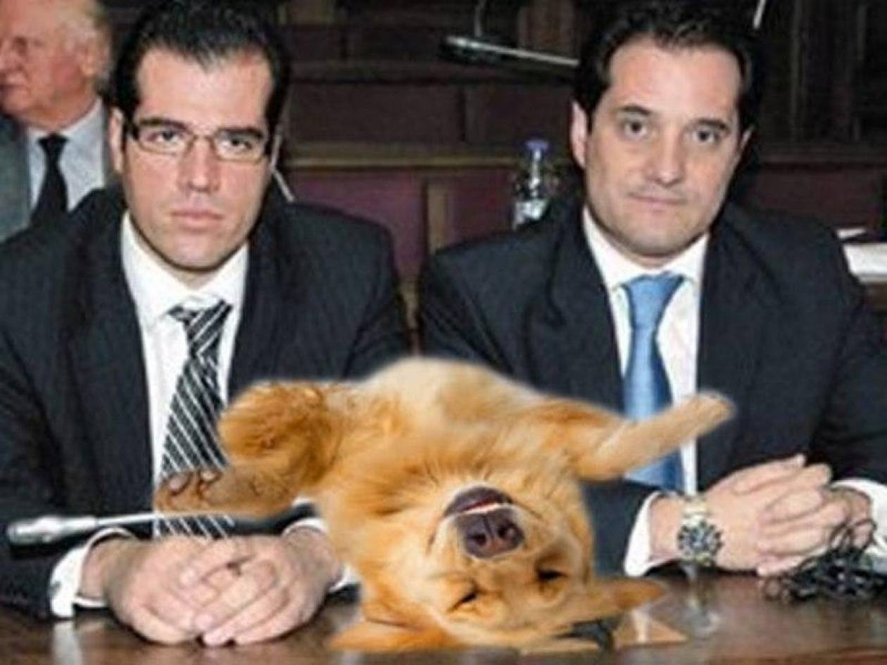 Πού είναι ο σκύλος; Ο, ε, ο, πού είναι ο σκύλος;