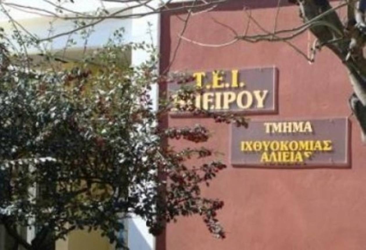 «Λουκέτο» σε τρία τμήματα του ΤΕΙ Ηπείρου