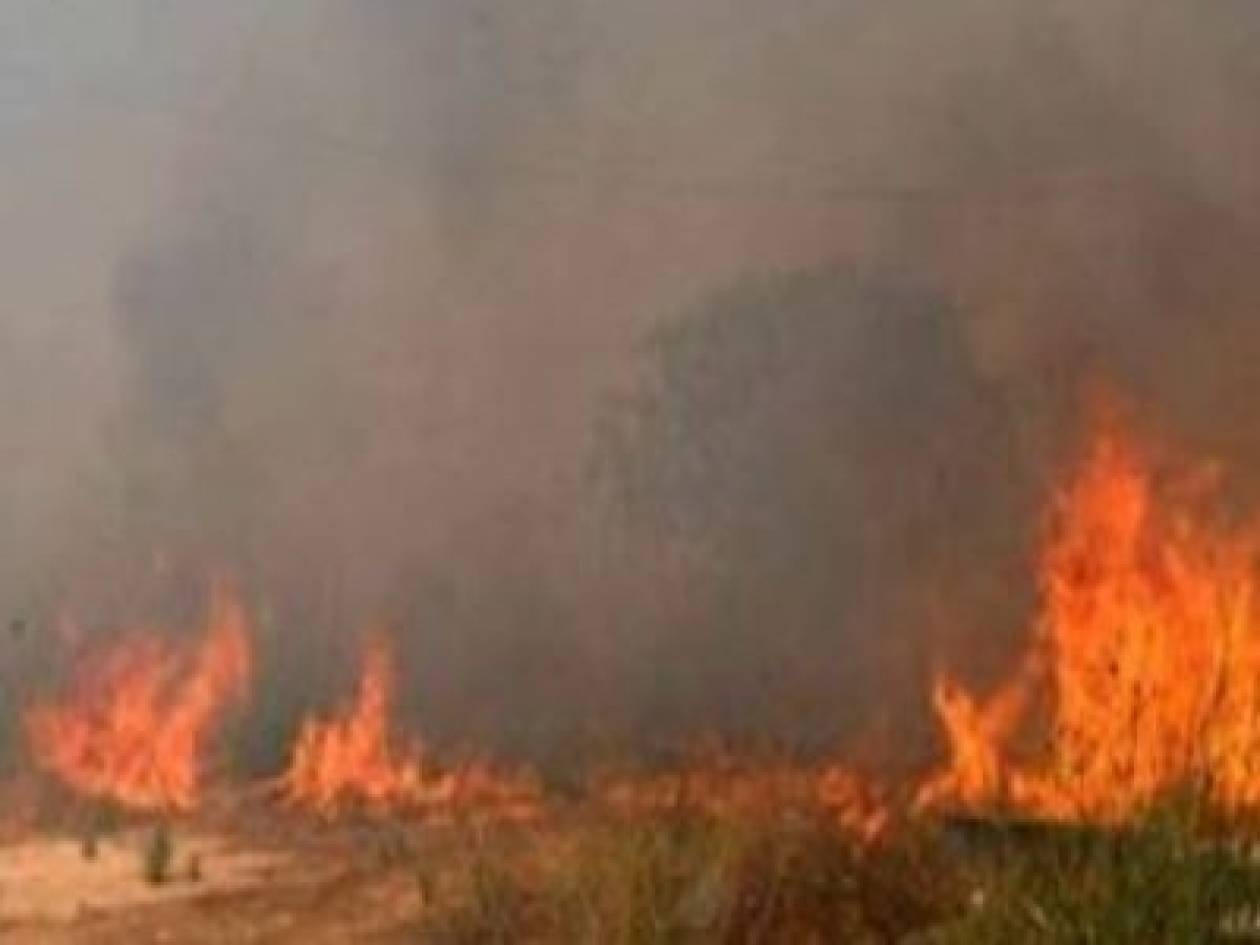 ΣΥΜΒΑΙΝΕΙ ΤΩΡΑ: Φωτιά στα Χανιά