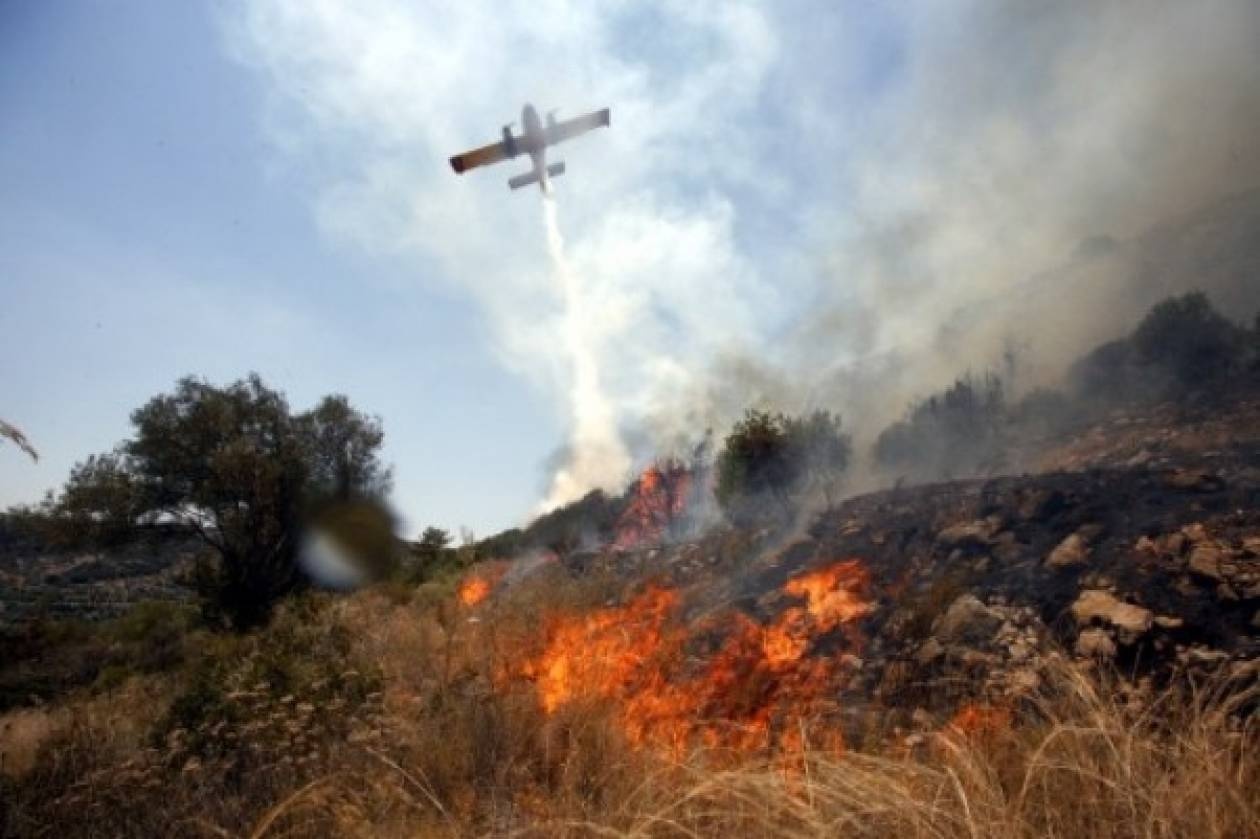 Υπό μερικό έλεγχο η πυρκαγιά στον Κάλαμο