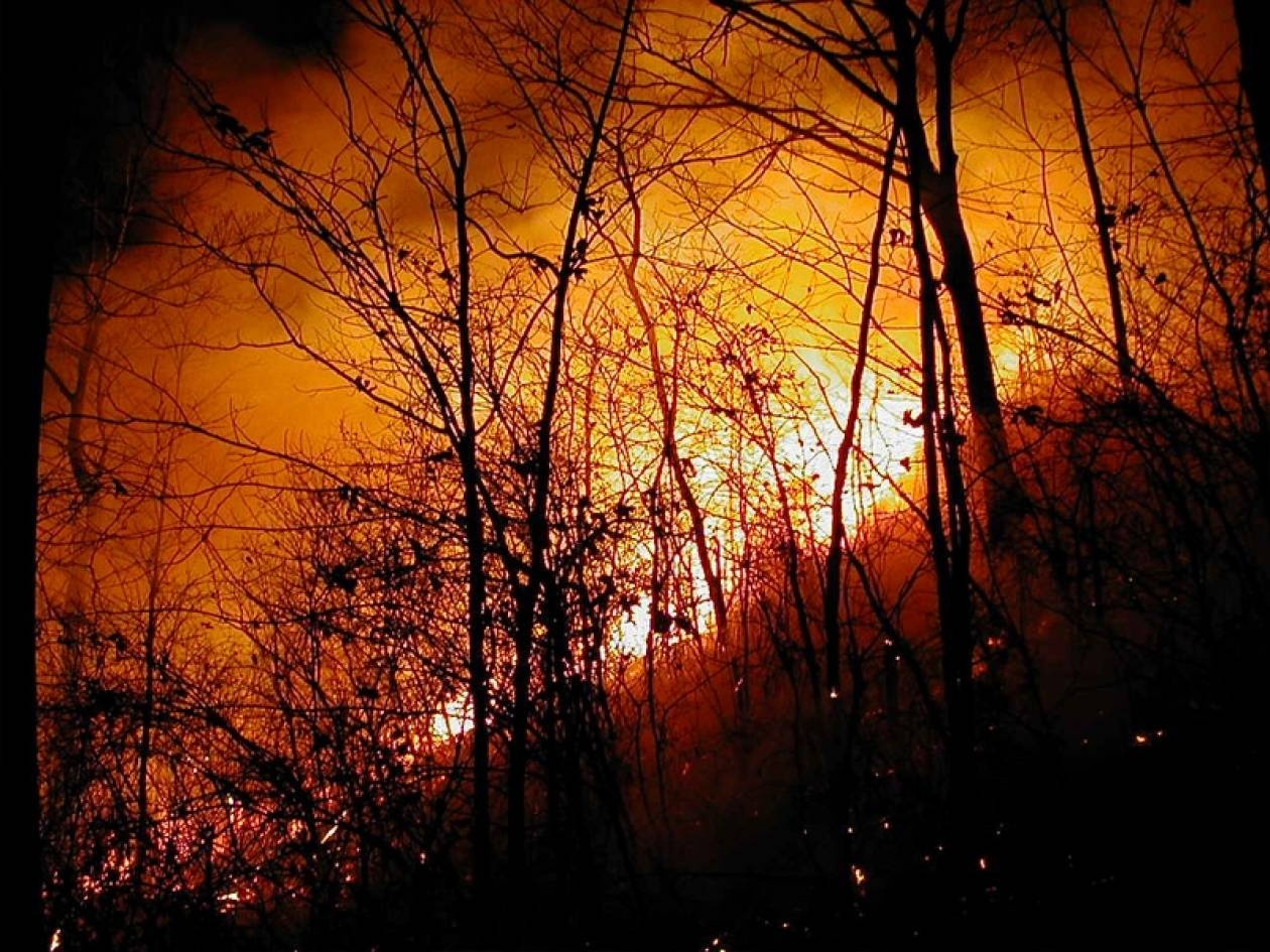 Στις φλόγες Αρκαδία και Άγιο Όρος