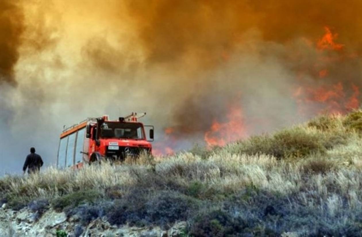 Νεκρός 60χρονος από τη φωτιά στην Αρκαδία