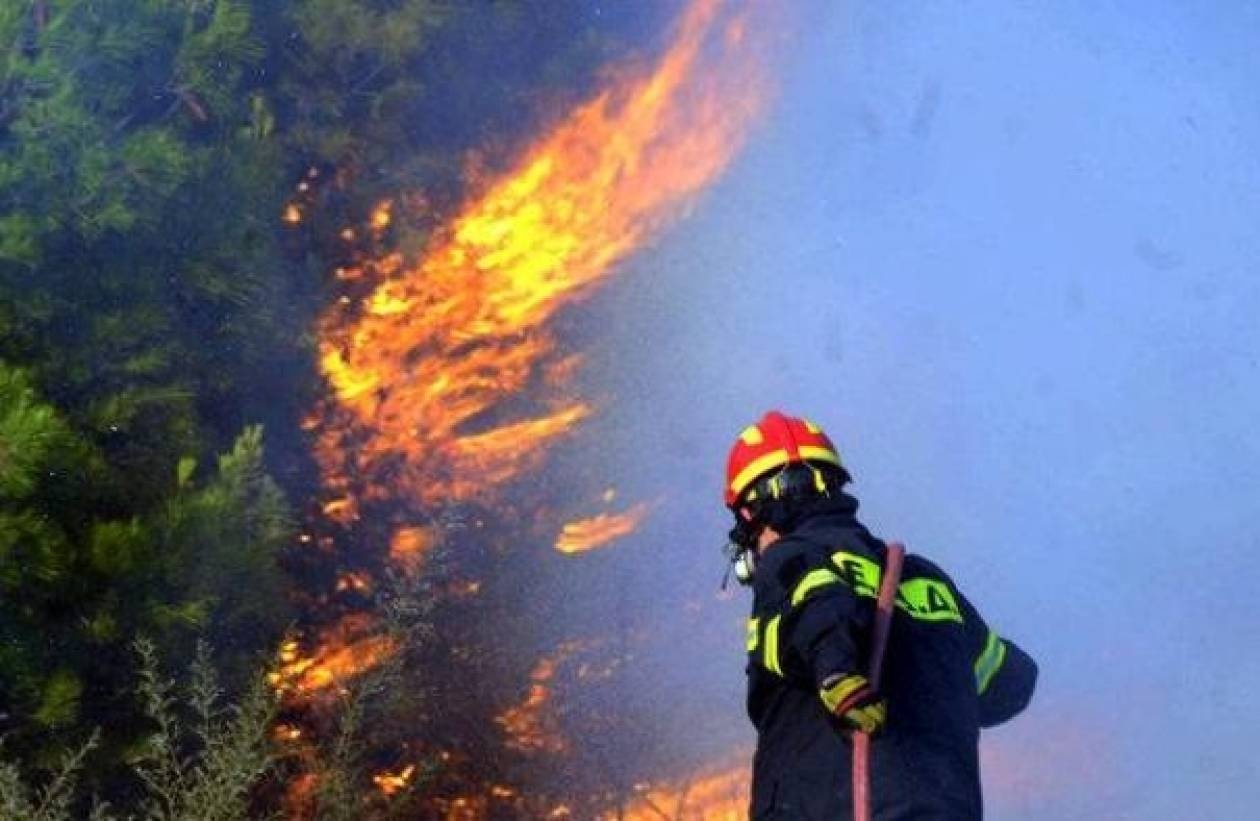 Σε εξέλιξη πυρκαγιά στη Δροσιά Χαλκίδας