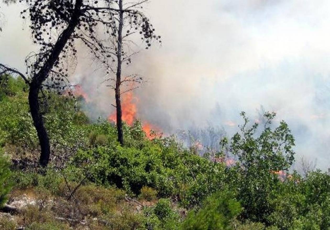 Πέντε πύρινα μέτωπα στα Χανιά