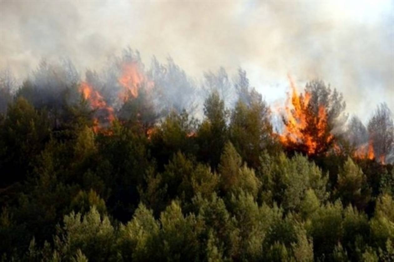 Συνελήφθη 50χρονος για εμπρησμό