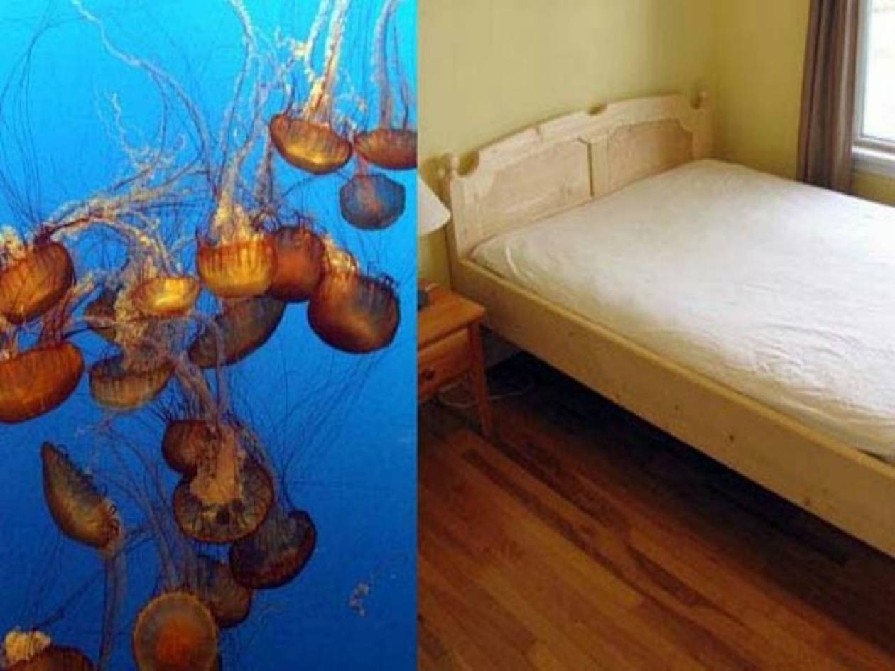 Δέκα ασυνήθιστες αιτίες θανάτου
