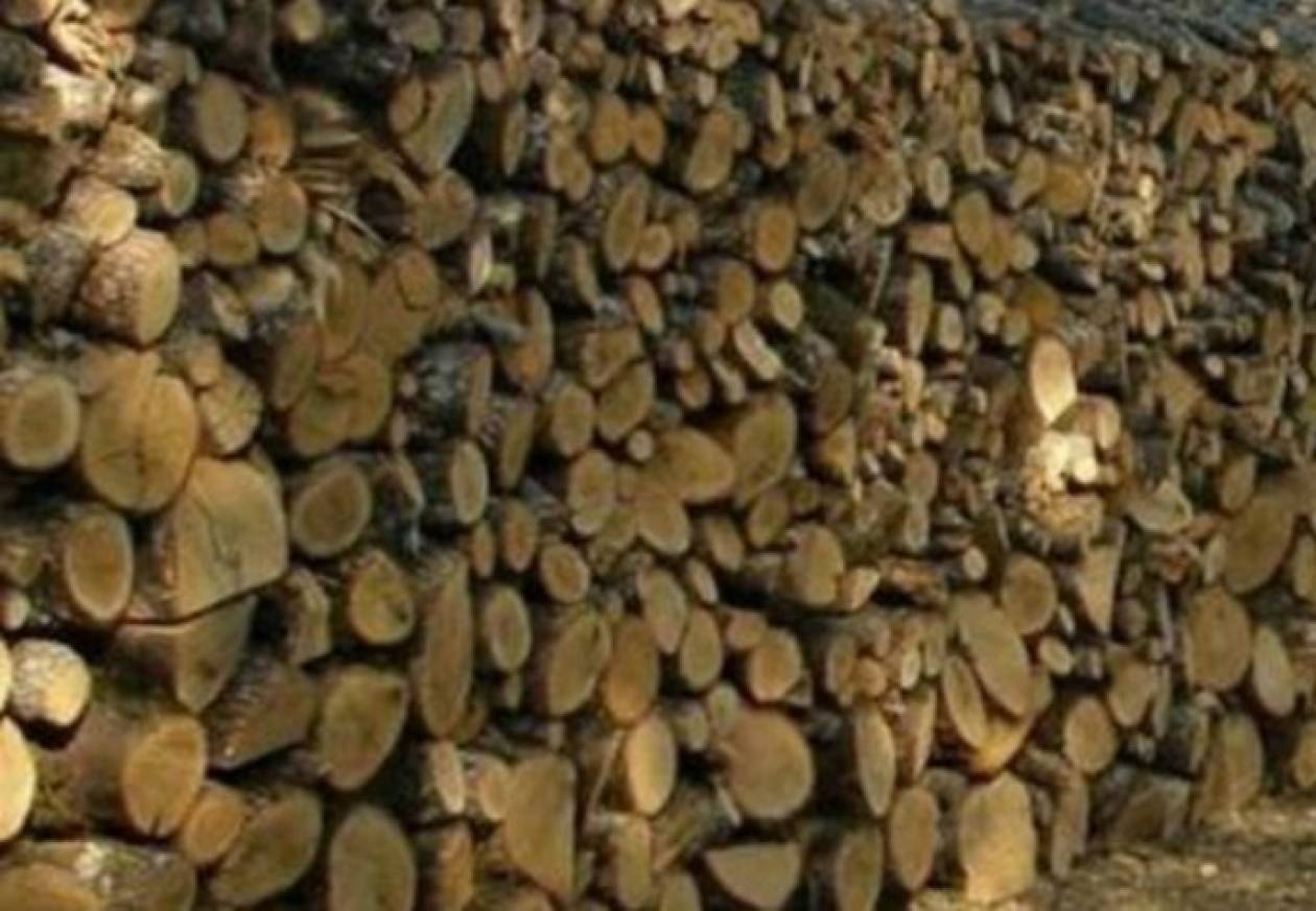 Αστυνομικοί κόβουν ξύλα για να ζεσταθούν!