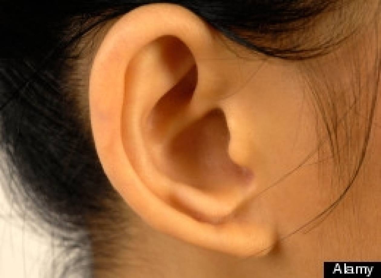 Έφαγε το αυτί του ξαδέρφου του την ώρα του καυγά!