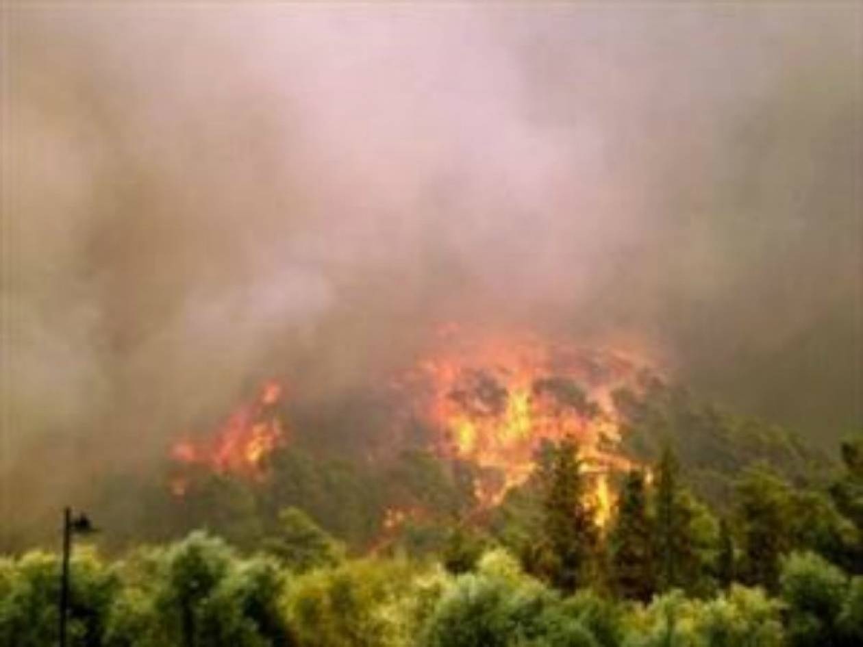 Κρήτη: Πάνω από 200 στρέμματα έγιναν στάχτη