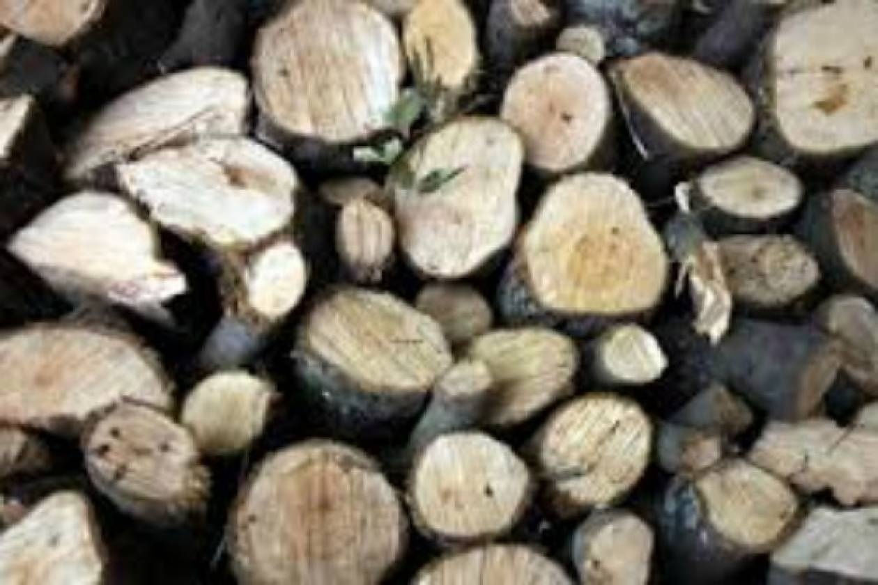 ΣΟΚ: Σκότωσαν ξυλουργό μέσα σε σχολείο