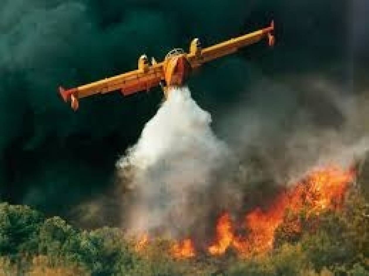 Πυρκαγιά στη Νεμέα Κορινθίας