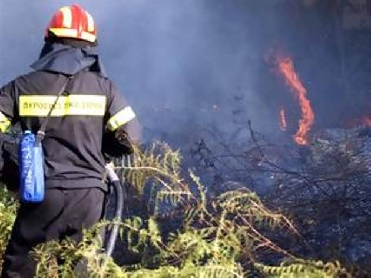 Υπό μερικό έλεγχο η πυρκαγιά στην Επίδαυρο