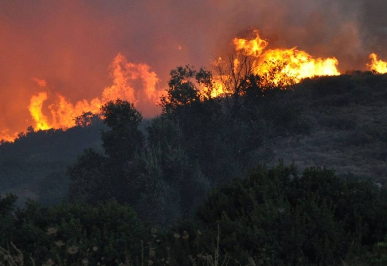 Φωτιά στην Παλιά Ζίχνη Σερρών