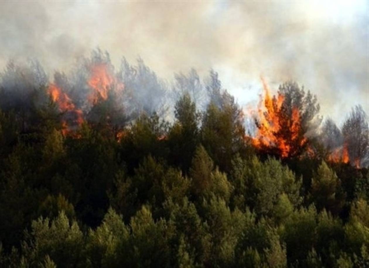 Πυρκαγιά σε αγροτοδασική έκταση στην Ηλεία