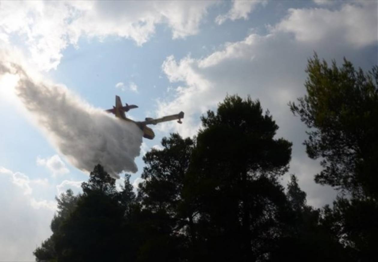 Τρεις συλλήψεις για πυρκαγιές