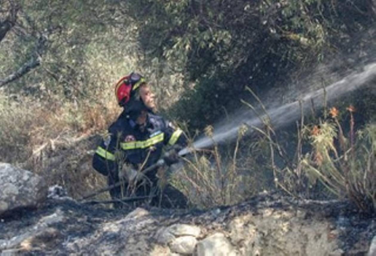 Υπό έλεγχο η πυρκαγιά στις Αφίδνες