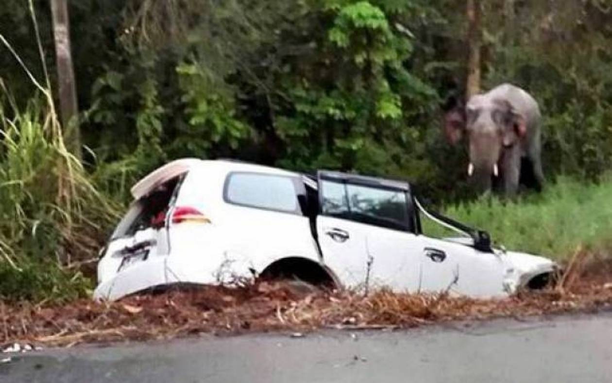 Six people dead because of an elephant
