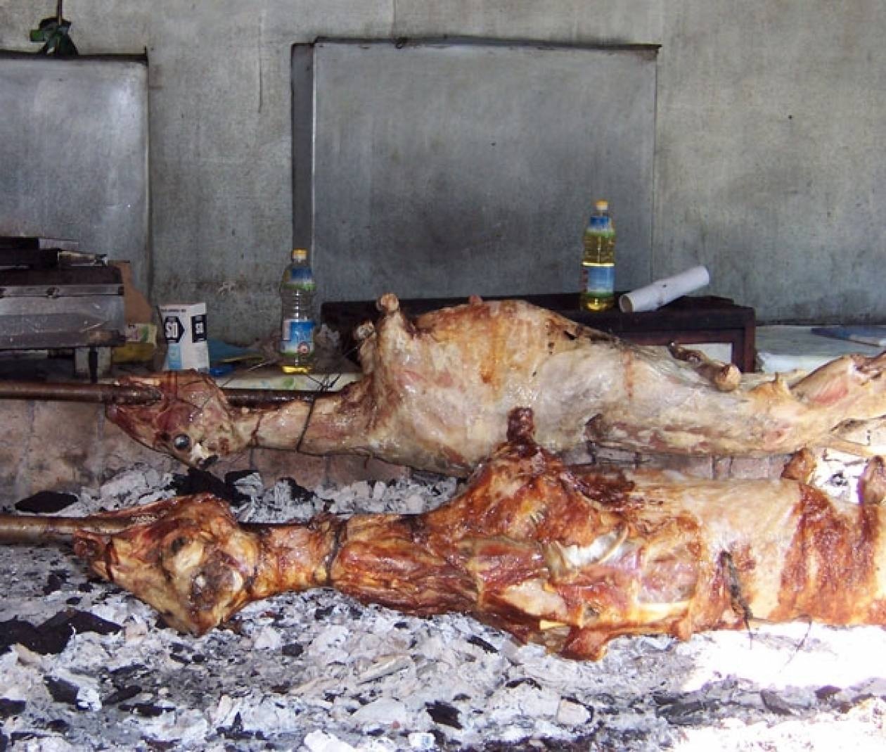 Αρνί, αρνάκι γάλακτος ή κατσίκι;