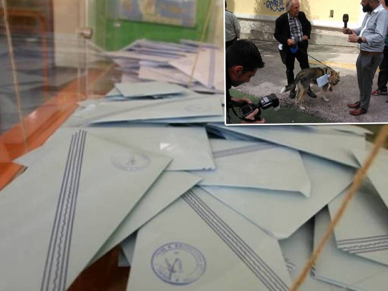 Εκλογές 2014: Τα ευτράπελα των εκλογών