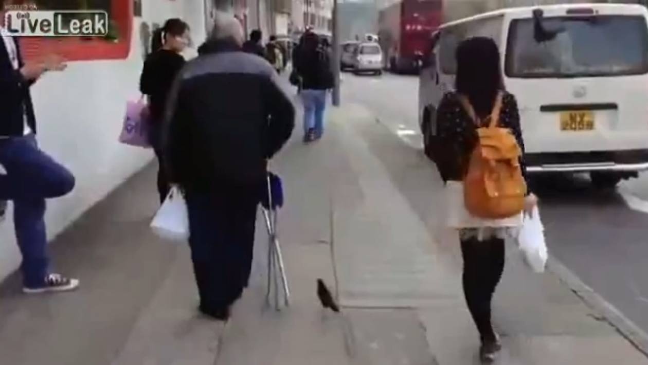 Έβγαλε το... πουλί του βόλτα! (pics+video)