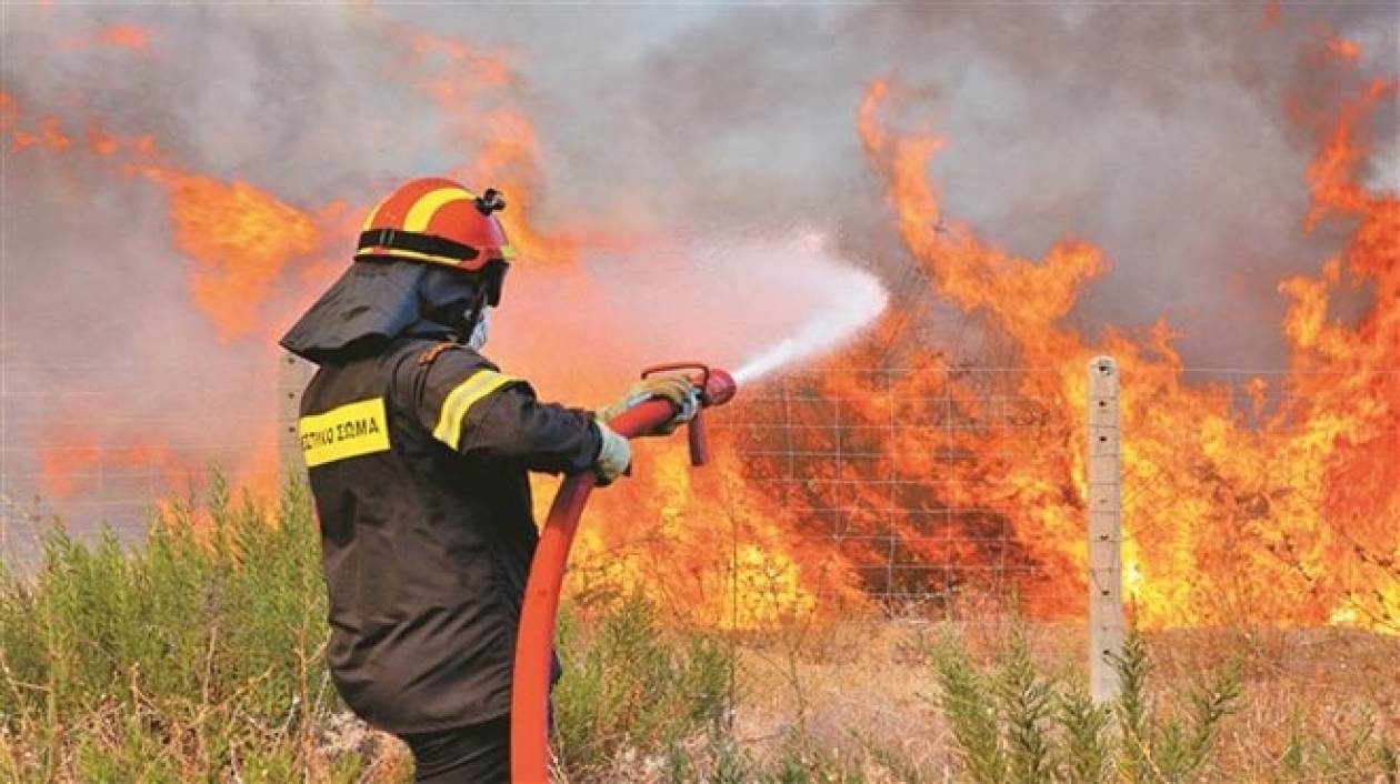 Μάνη: Σε εξέλιξη φωτιά στην Κάτω Καρέα