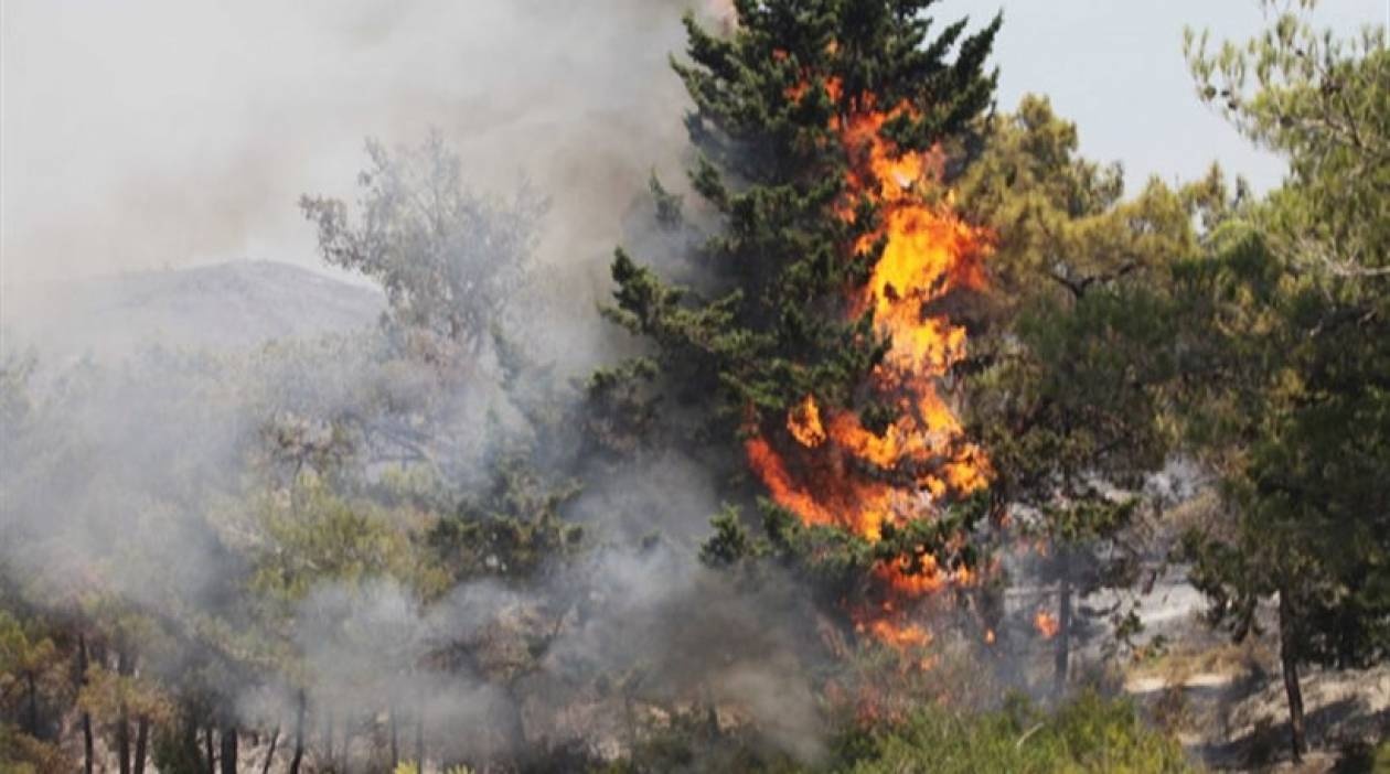 Δύο φωτιές σε εξέλιξη στο νομό Λάρισας