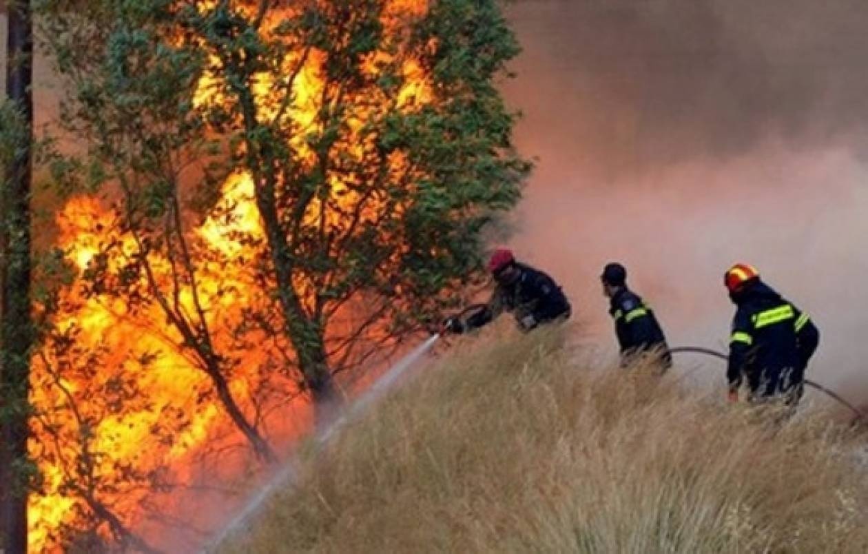 Μεγάλη πυρκαγιά στην Αχλαδερή Λέσβου