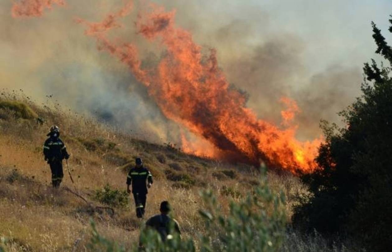 Λάρισα: Φωτιά σε εξέλιξη στο Καλό Νερό