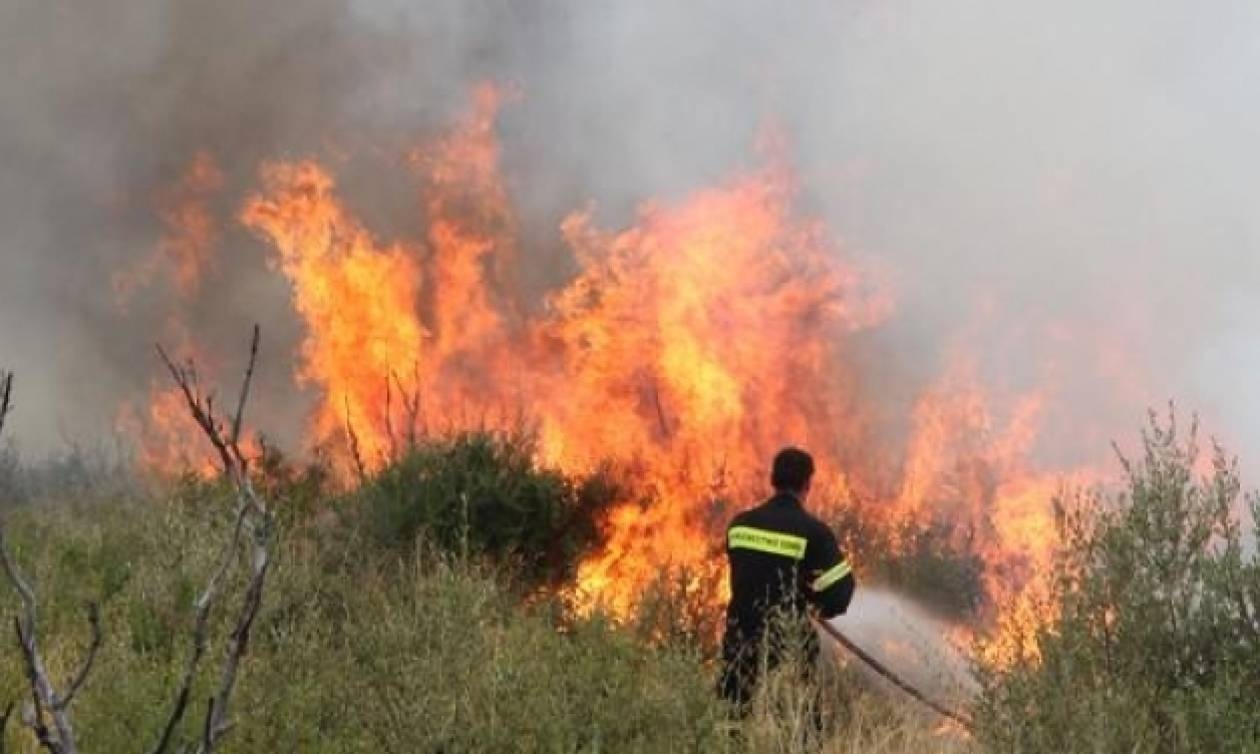Σε εξέλιξη πυρκαγιά στην Σφάκα Αταλάντης