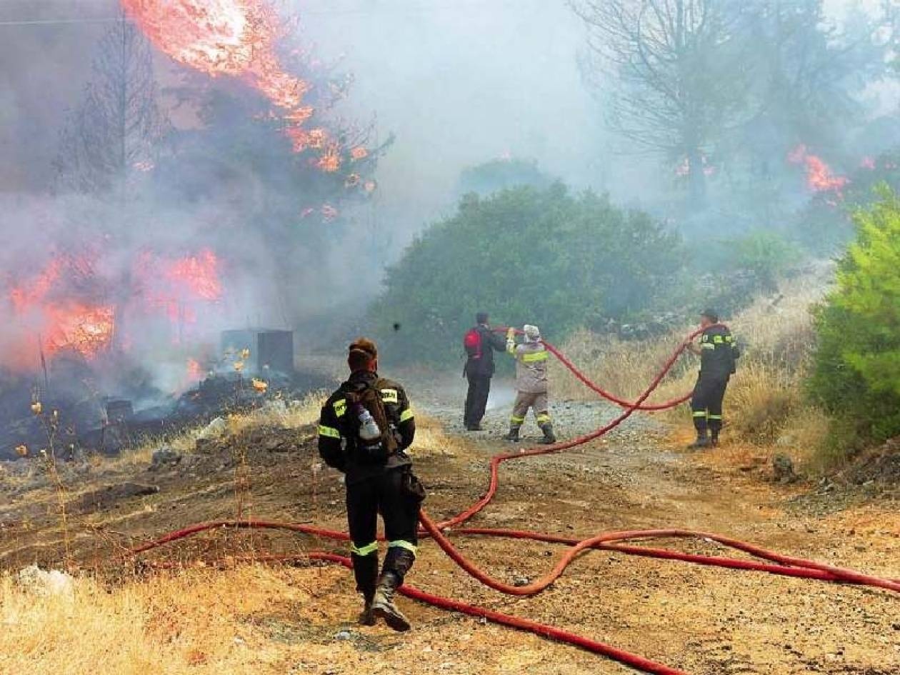 Πέντε φωτιές σε Φθιώτιδα και Βοιωτία