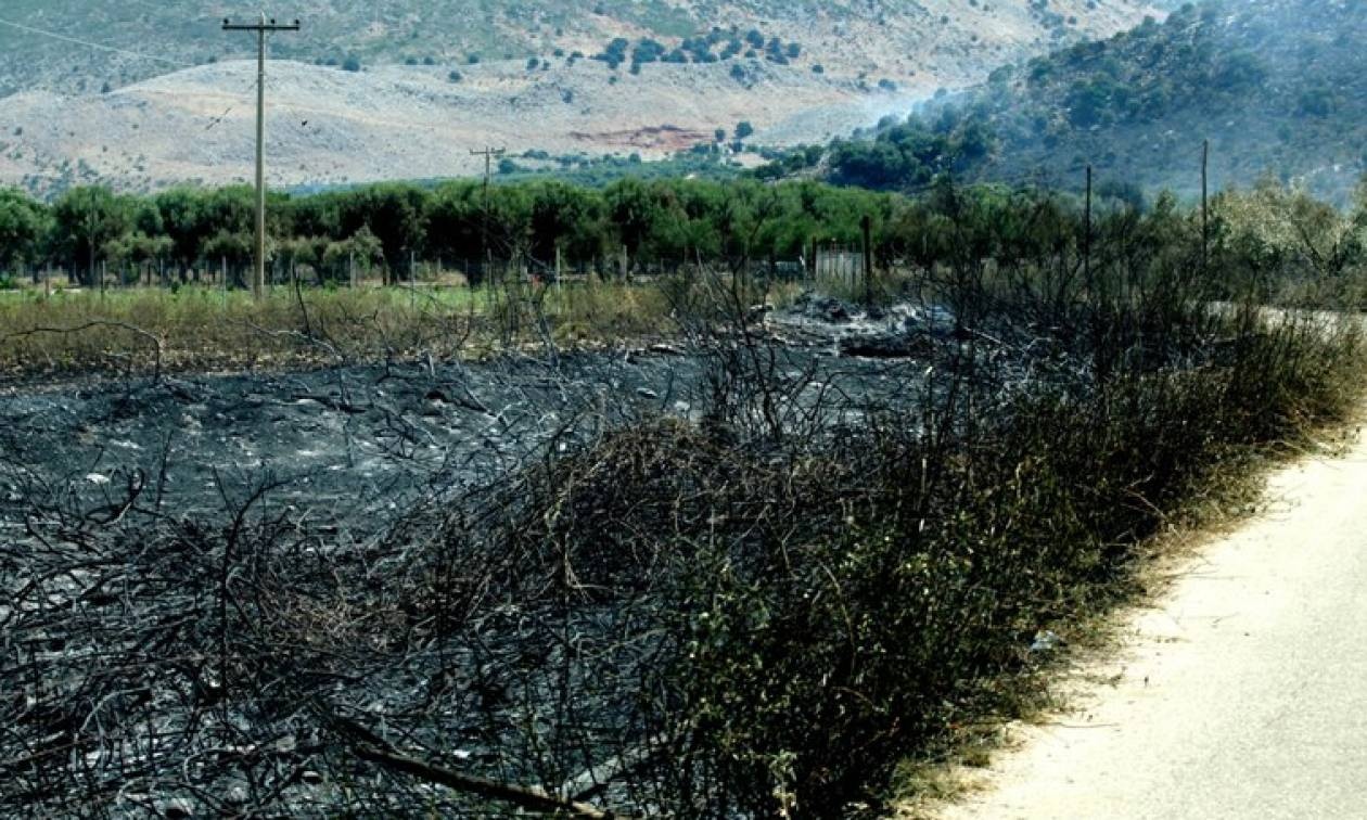 Σε ύφεση η πυρκαγιά στην Πάλαιρο