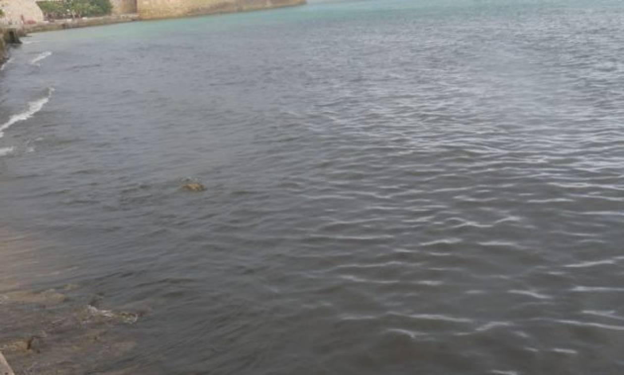 Χανιά: Τον έσωσαν από πνιγμό