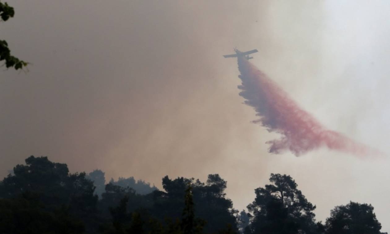 Κύπρος: Υπό έλεγχο τέθηκε η φονική πυρκαγιά