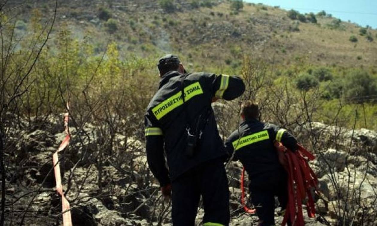 Υπό έλεγχο οι δύο πυρκαγιές στην Αρκαδία