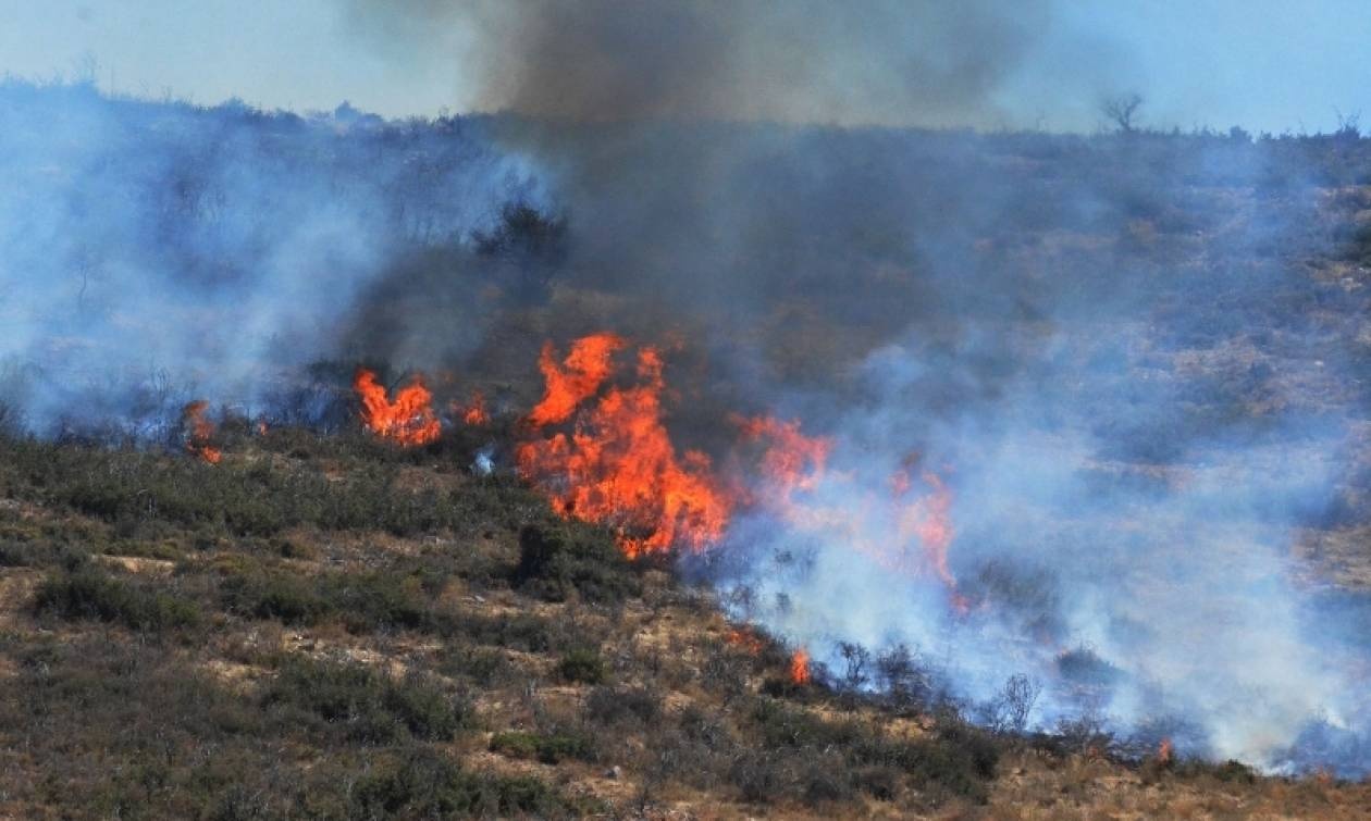 Υπό μερικό έλεγχο η φωτιά στο Άγιο Όρος