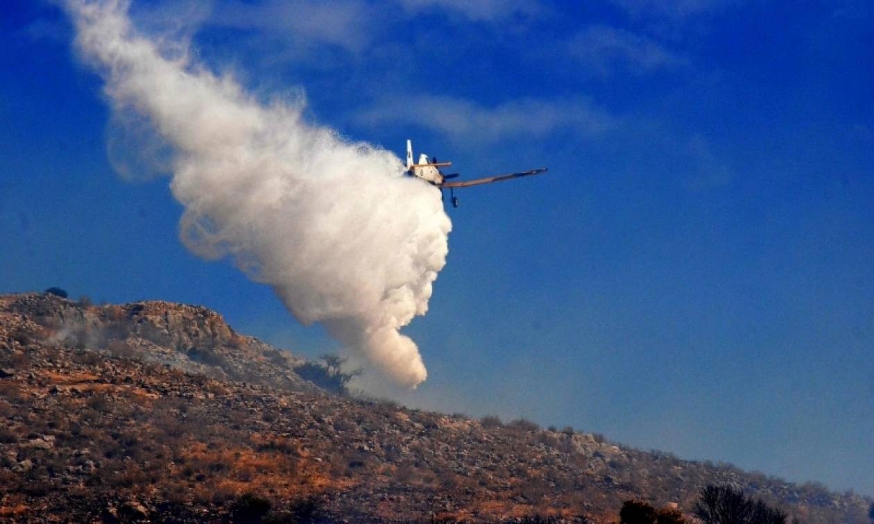 Υπό μερικό έλεγχο η πυρκαγιά στην Άνδρο