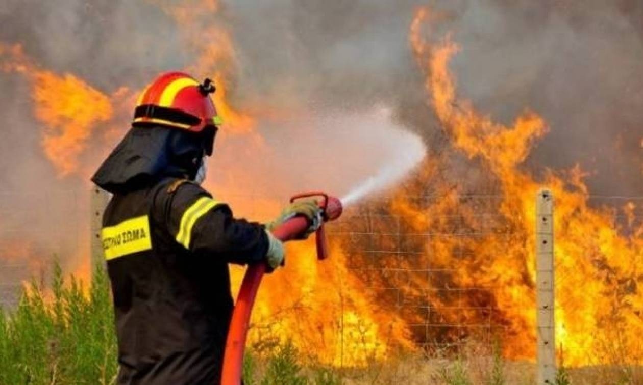 Σε ύφεση η πυρκαγιά στην Κάρυστο