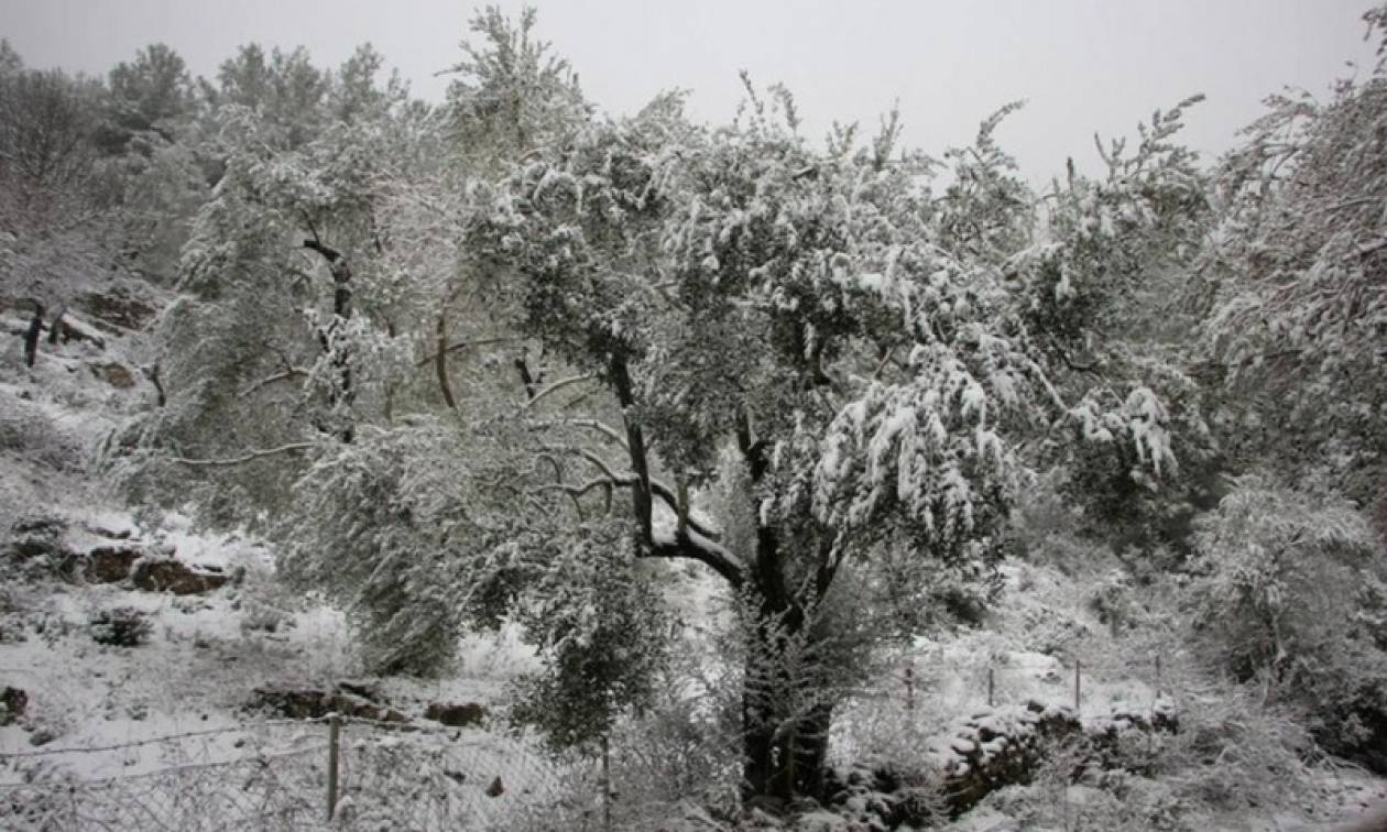 Καιρός ΤΩΡΑ: Στα «λευκά» και ο Έβρος